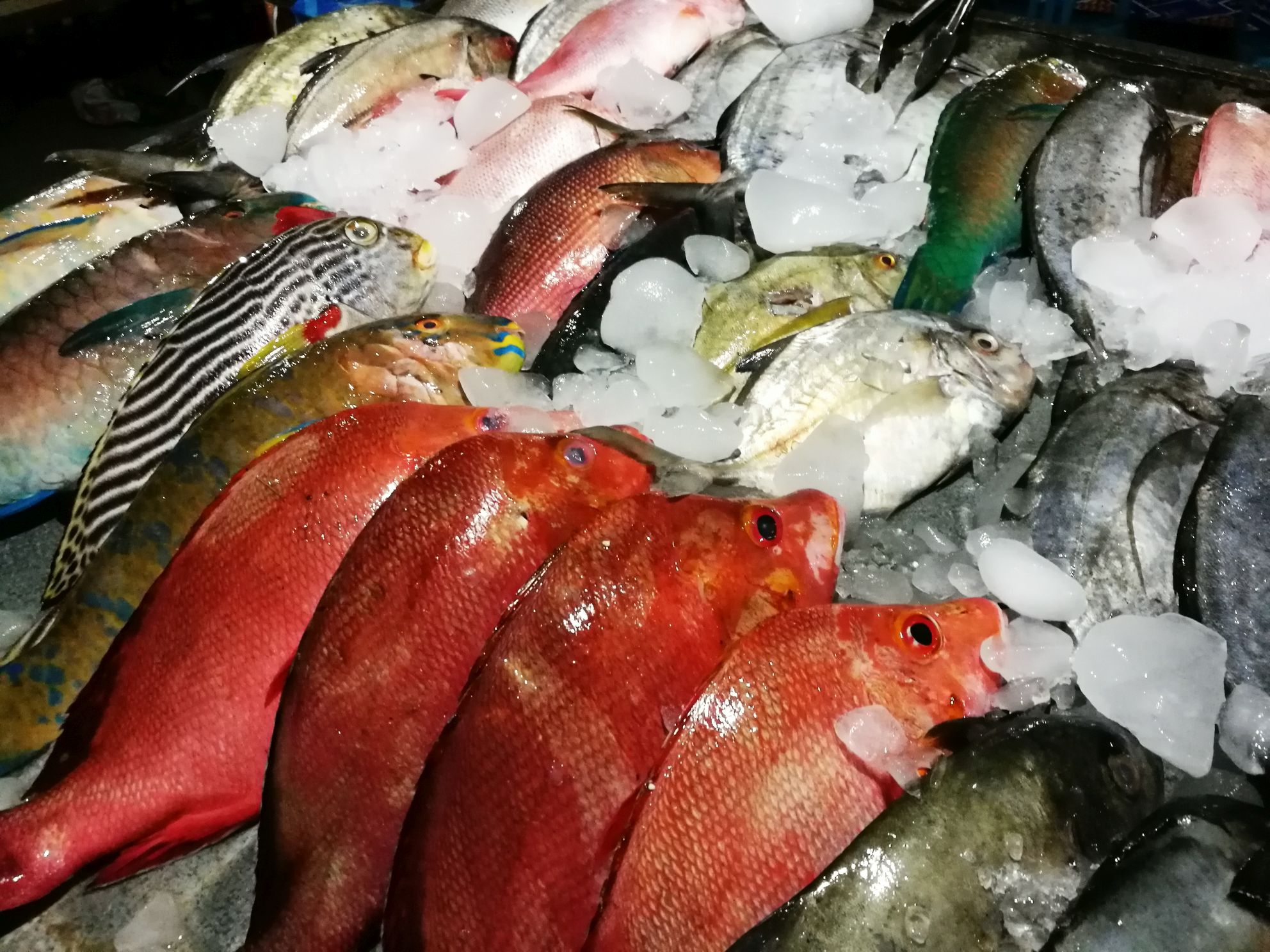 night market 2
