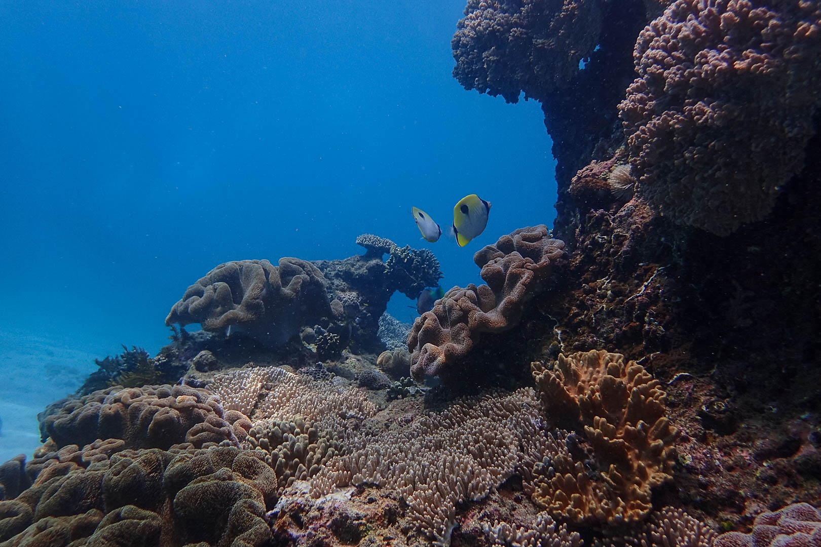 foto blue lagon more 1