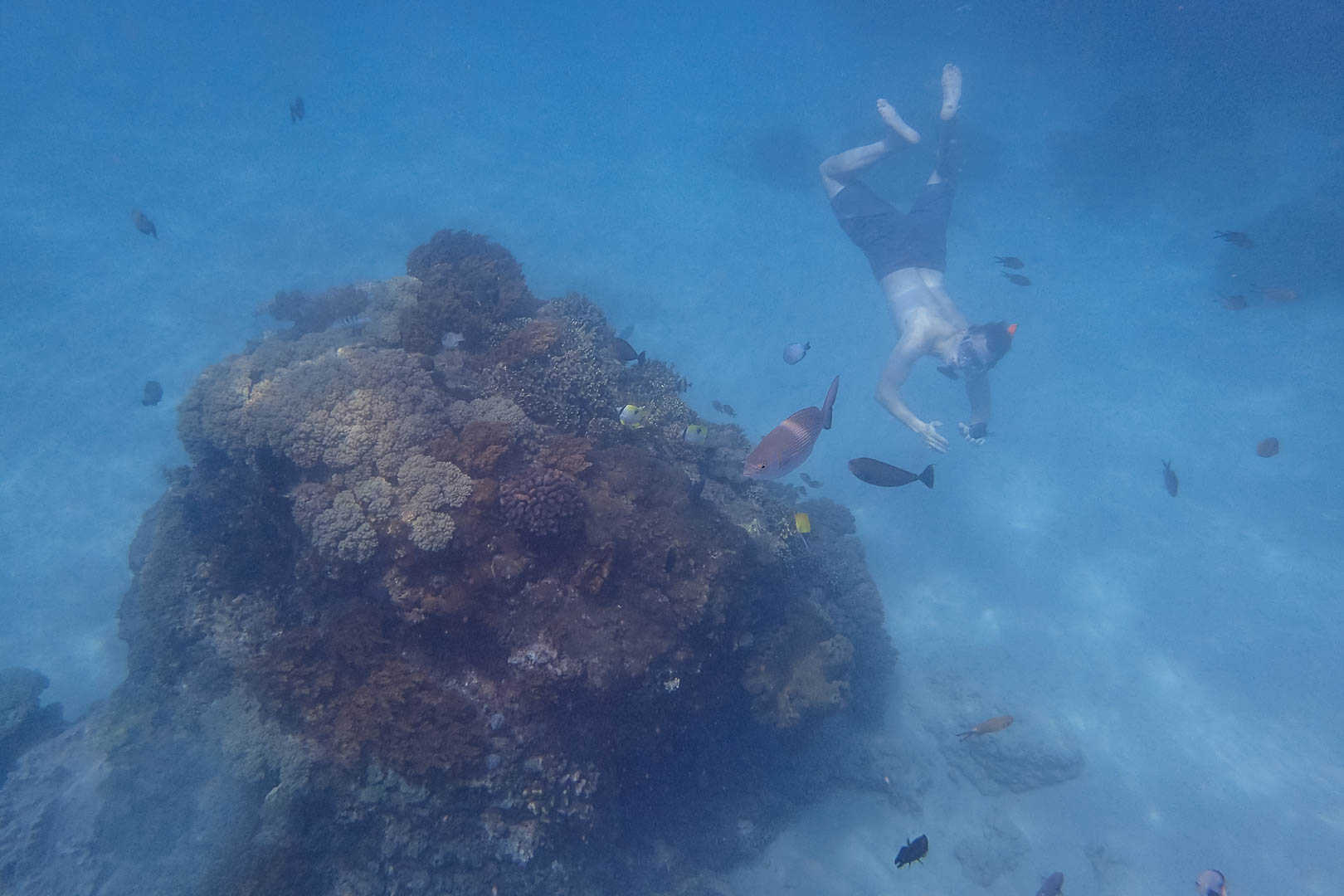 foto blue lagon more 2
