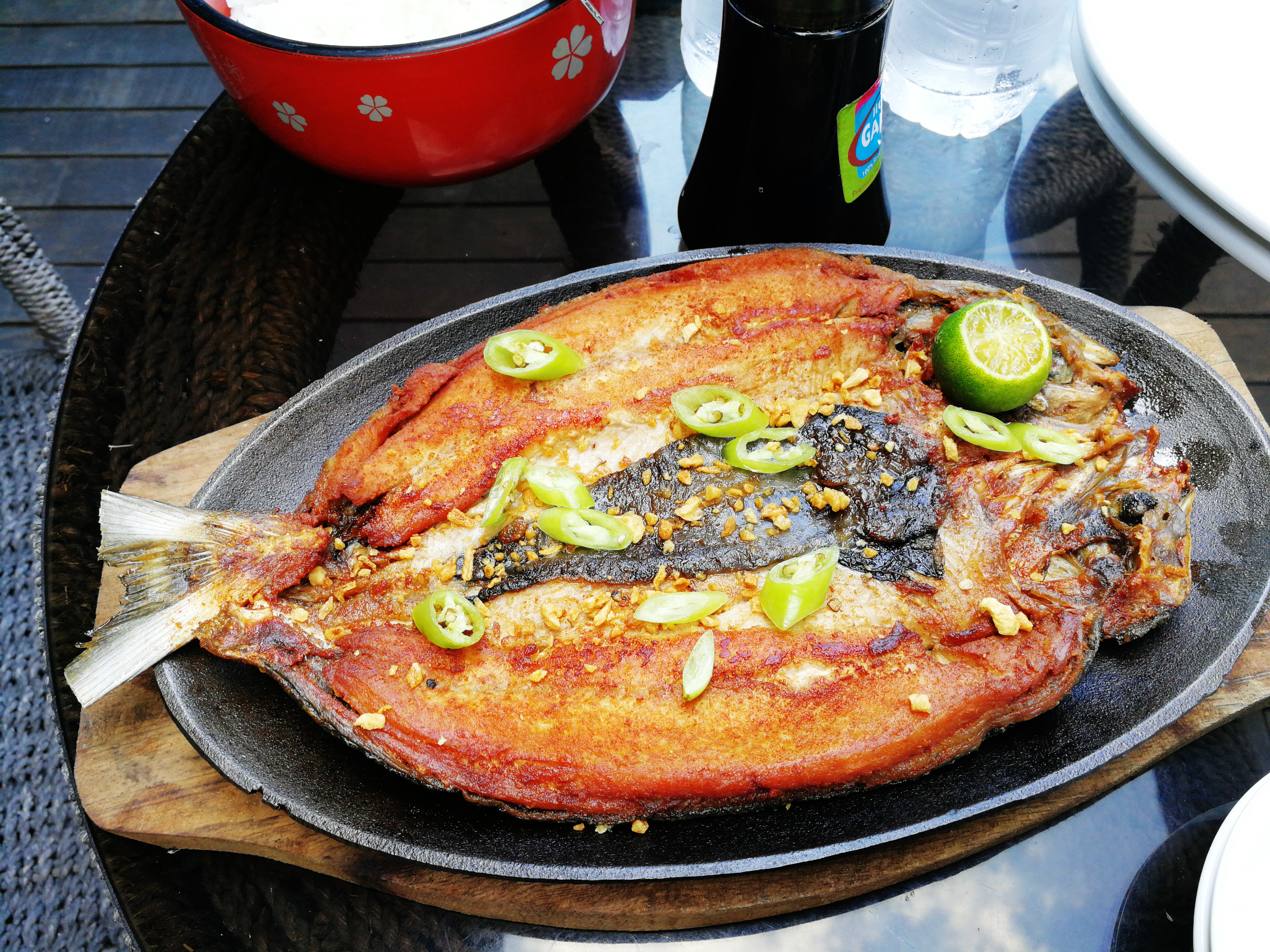 milk fish obed
